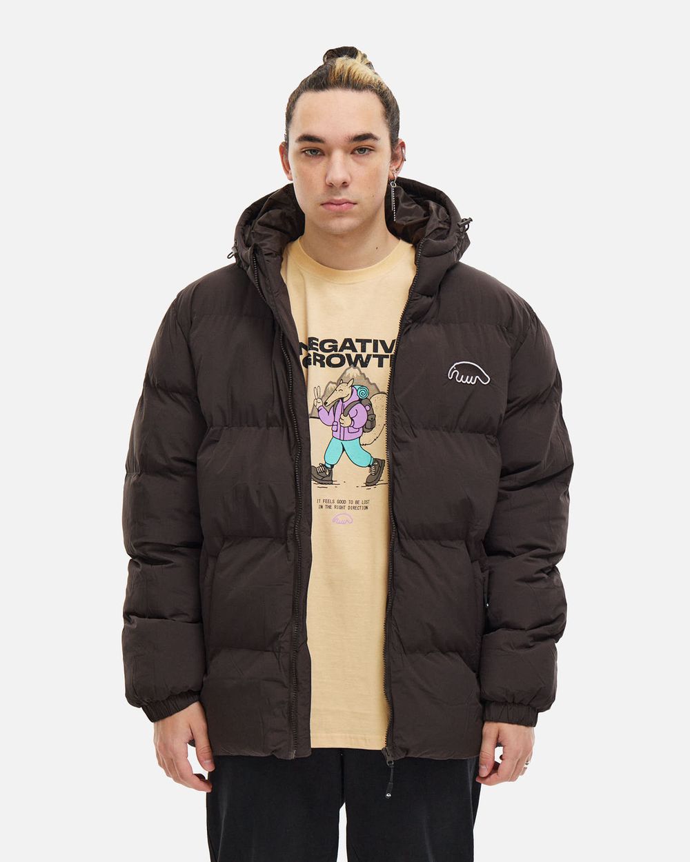 Купить Пуховик Anteater AW25 Downjacket Hooded Crispy коричневый Пуховик Anteater AW25 Downjacket Hooded Crispy коричневый