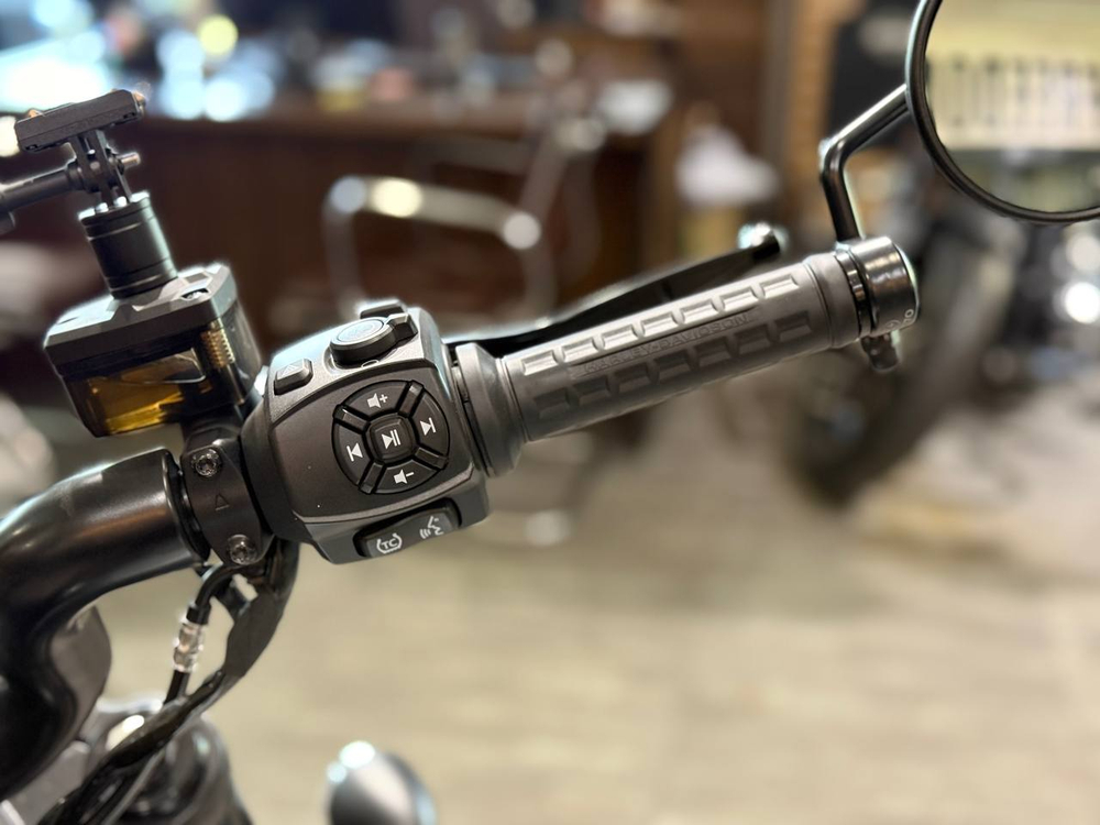 Harley-Davidson Sportster S, 2021