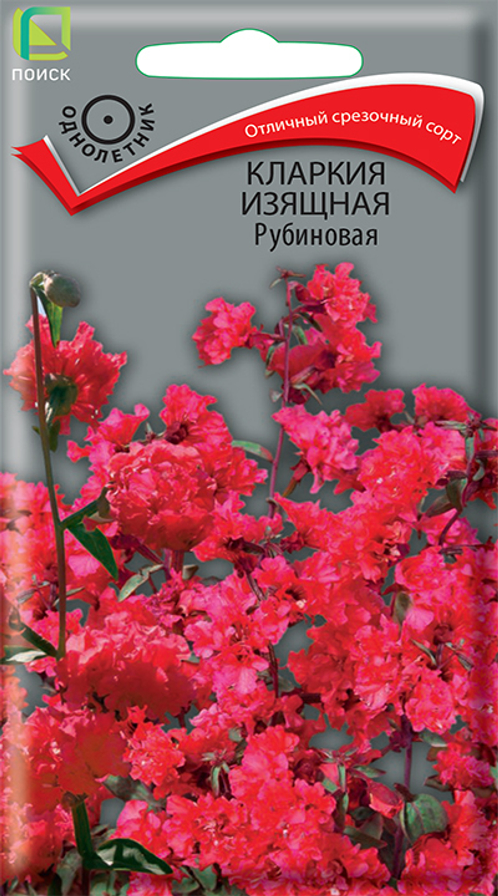 Кларкия изящная Рубиновая