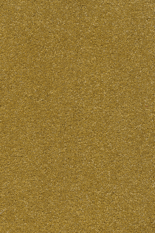 Ковровое покрытие AW Vivendi Vibes 54