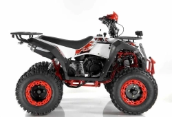 Квадроцикл Wels Evo X2 200cc