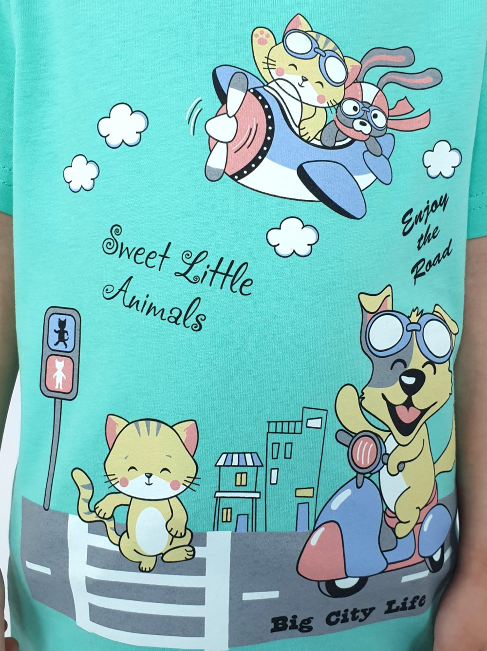 3-86-4 Футболка для мальчика