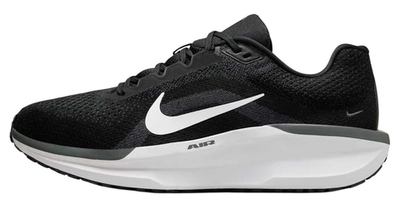 FJ9509-001 Кроссовки Nike Winflo 11