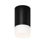 Потолочный светильник Outdoor O499CL-L10B3K