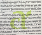 Василек Летние Каникулы 0,3 г СМЦ-280