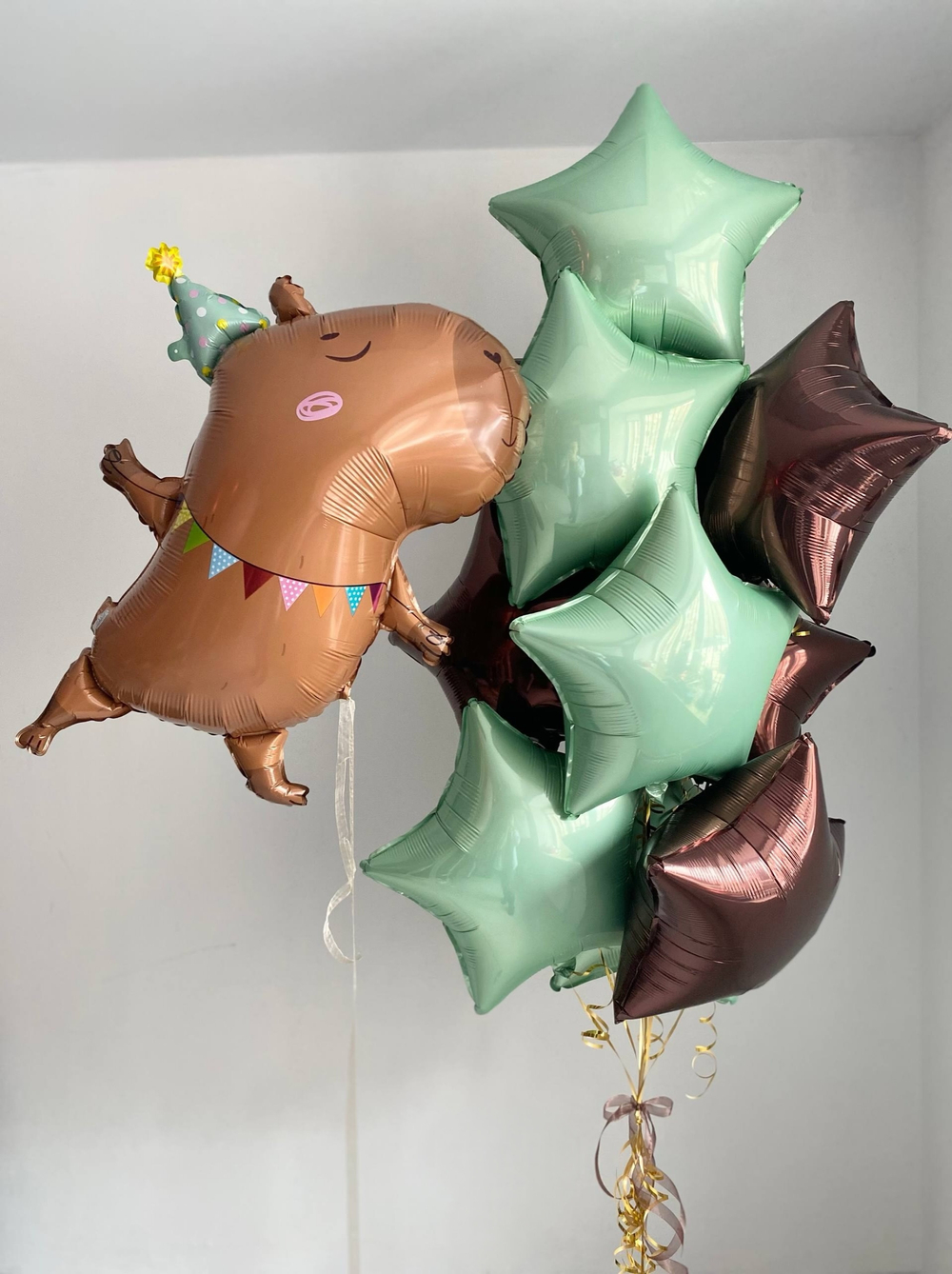 Воздушные шары Капибара танцующая звезды шоколад/мята №4218