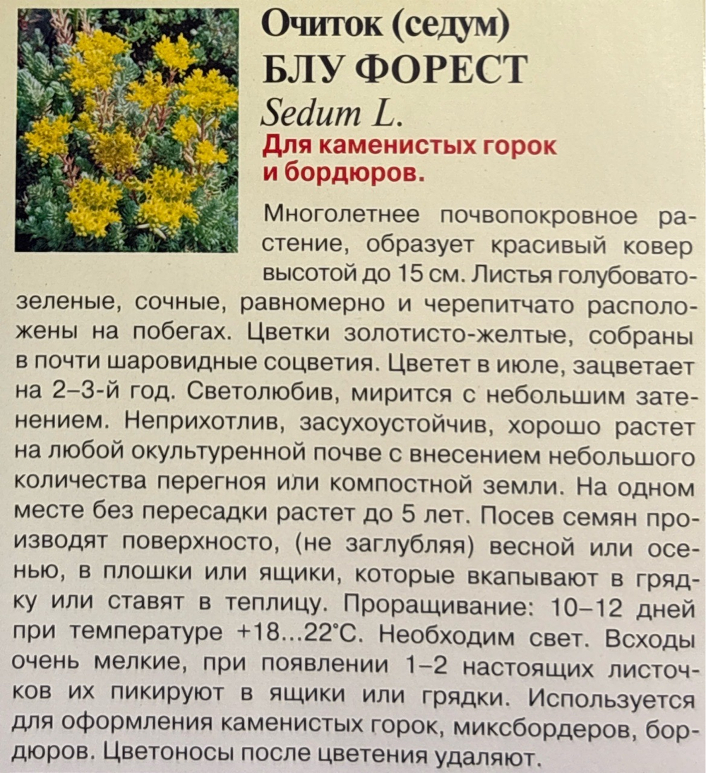 Очиток Блу Форест 0,01 г СМЦ-751