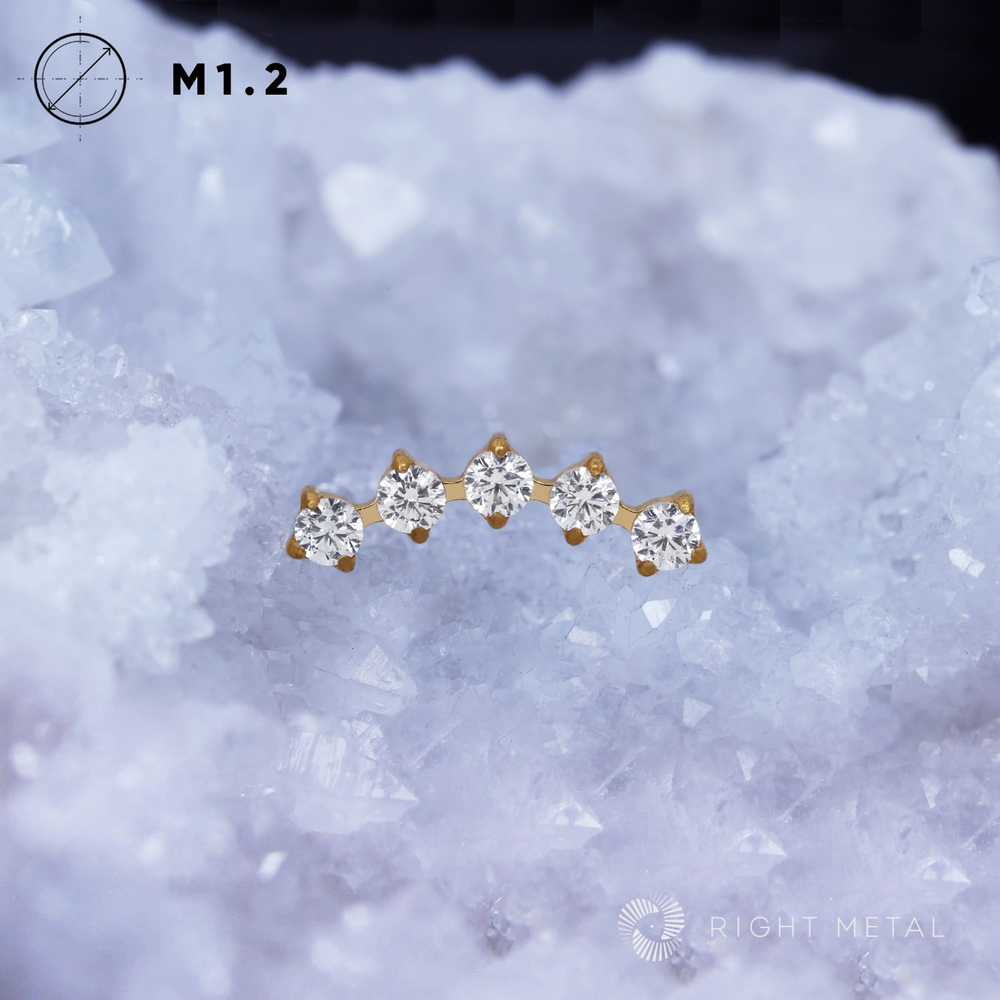 5K Highlight Crystal PVD Yellow