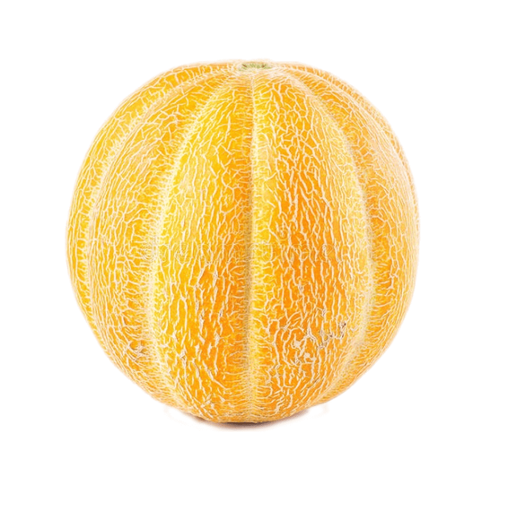 Ганнибал семена дыни (Гавриш) – фото 2