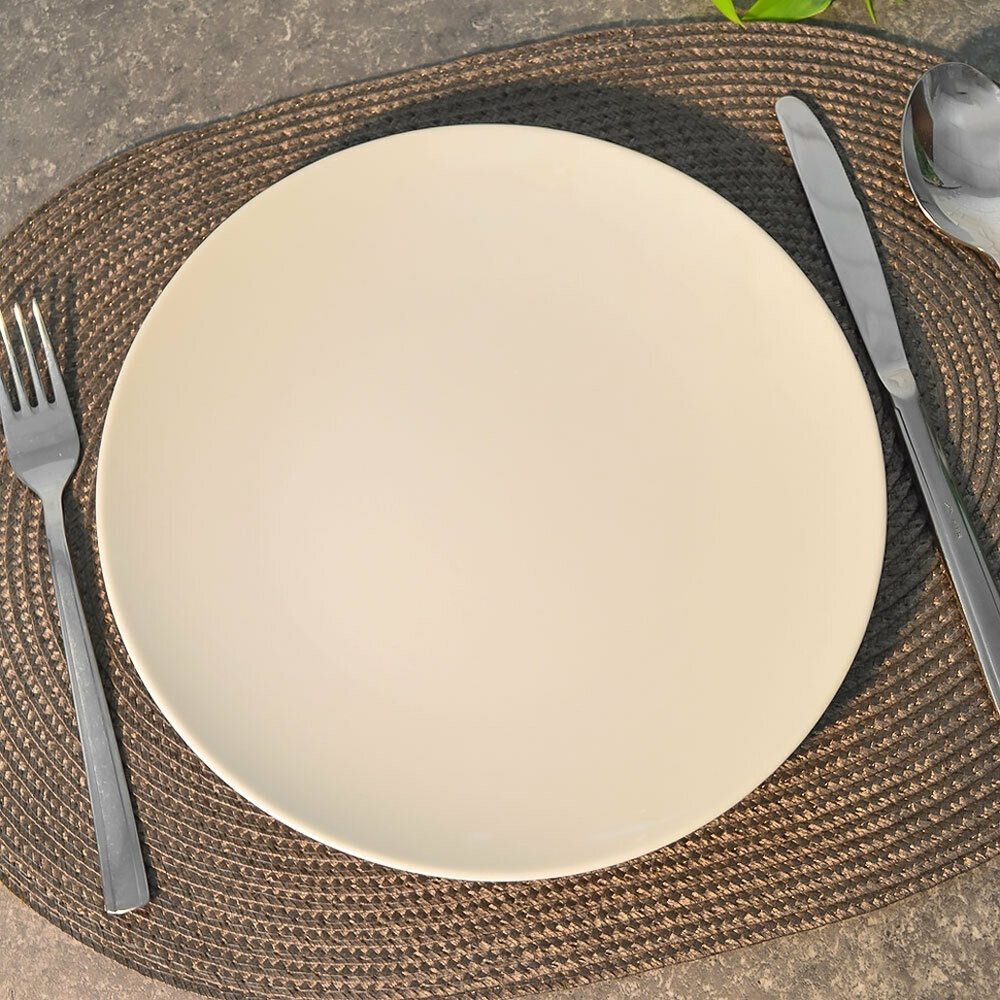 Тарелка 240мм мелкая форма Универсал Без деколи