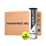 Мячи для тенниса для всех покрытий TECNIFIBRE