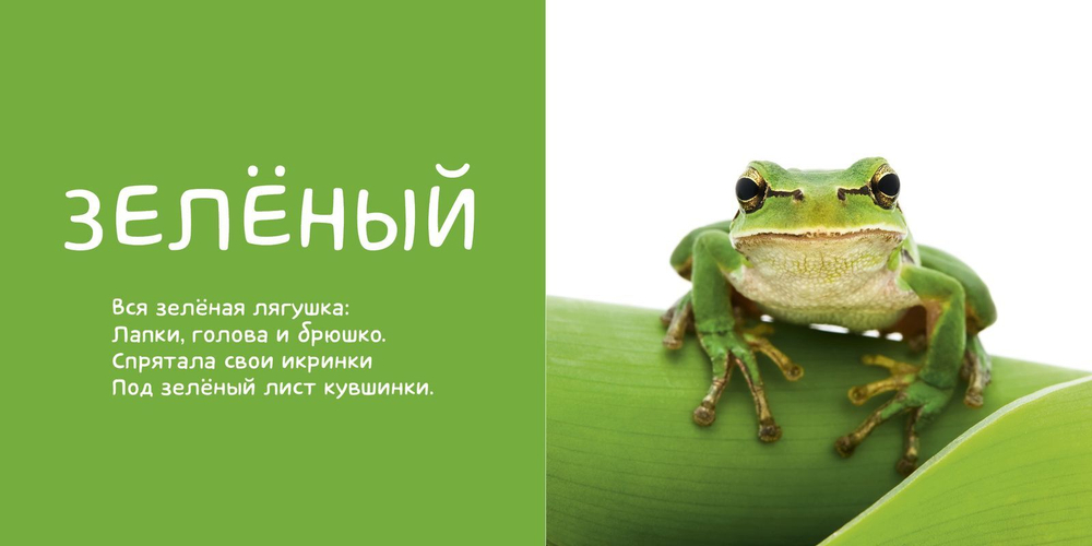 Я учу цвета. Фотокнига