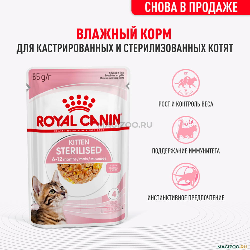 Royal Canin Kitten Sterilised Киттен Стерилайзд Корм влажный для кастрированных и стерилизованных котят в возрасте от 6 до 12 месяцев желе 85г