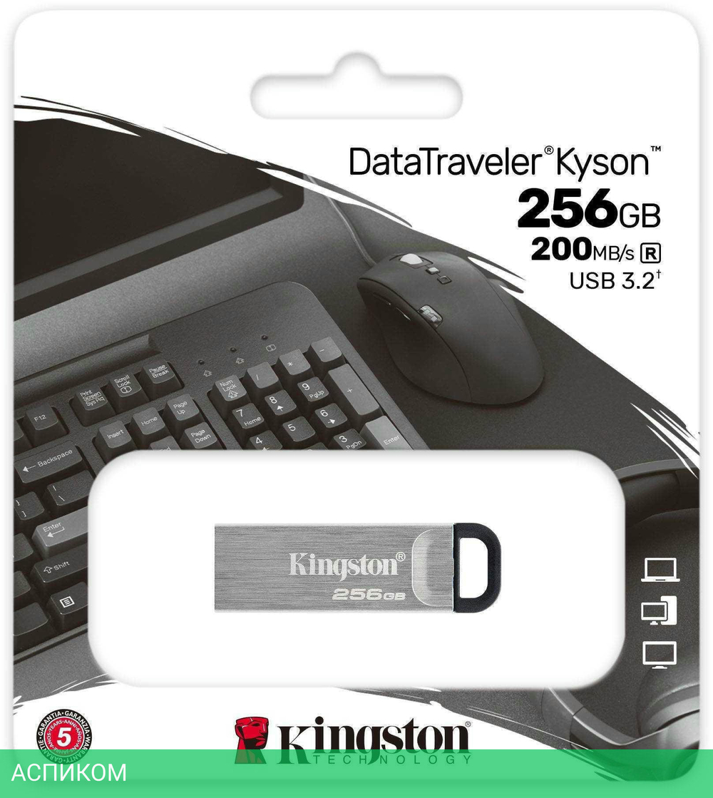 USB Flash-накопитель Kingston DataTraveler Kyson 256GB металл серебристый (DTKN/256GB)