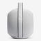 Портативная акустика Devialet Mania Light Grey
