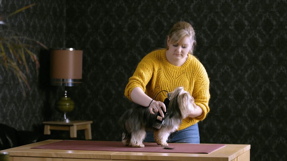 Машинка для стрижки животных Moser 1400 (1406-0076) - 5