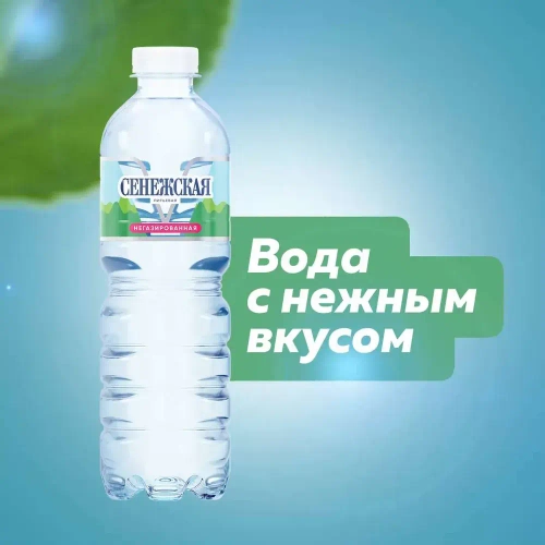 Вода негазированная Сенежская питьевая, 12 шт х 0,5 л