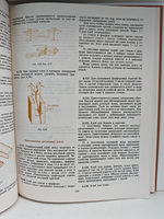 1600 полезных советов хозяевам дома