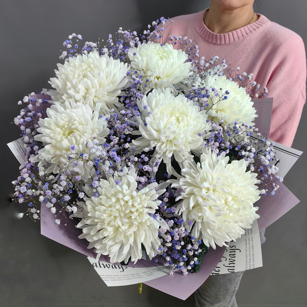 Букет из 7 хризантем сорта "Антонов" и сиреневой гипсофилы