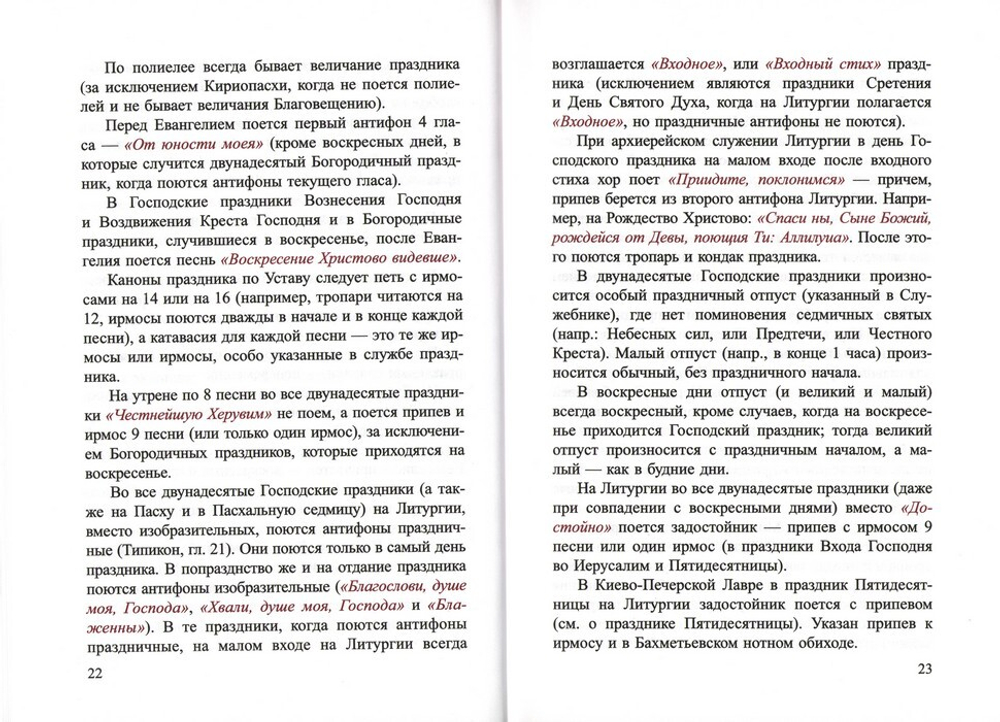 Литургика. Учебное пособие для духовных семинарий. Г. И. Шиманский