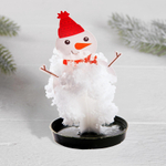 Выращивание кристалла «Снеговик», набор для опытов