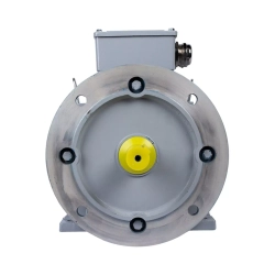 Электродвигатель ESQ PR 100 LB4-SDN-Б1-S12-IE2 3/1500 IMB35