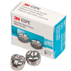 Второй верхний левый моляр, размер 6 (E-UL-6)