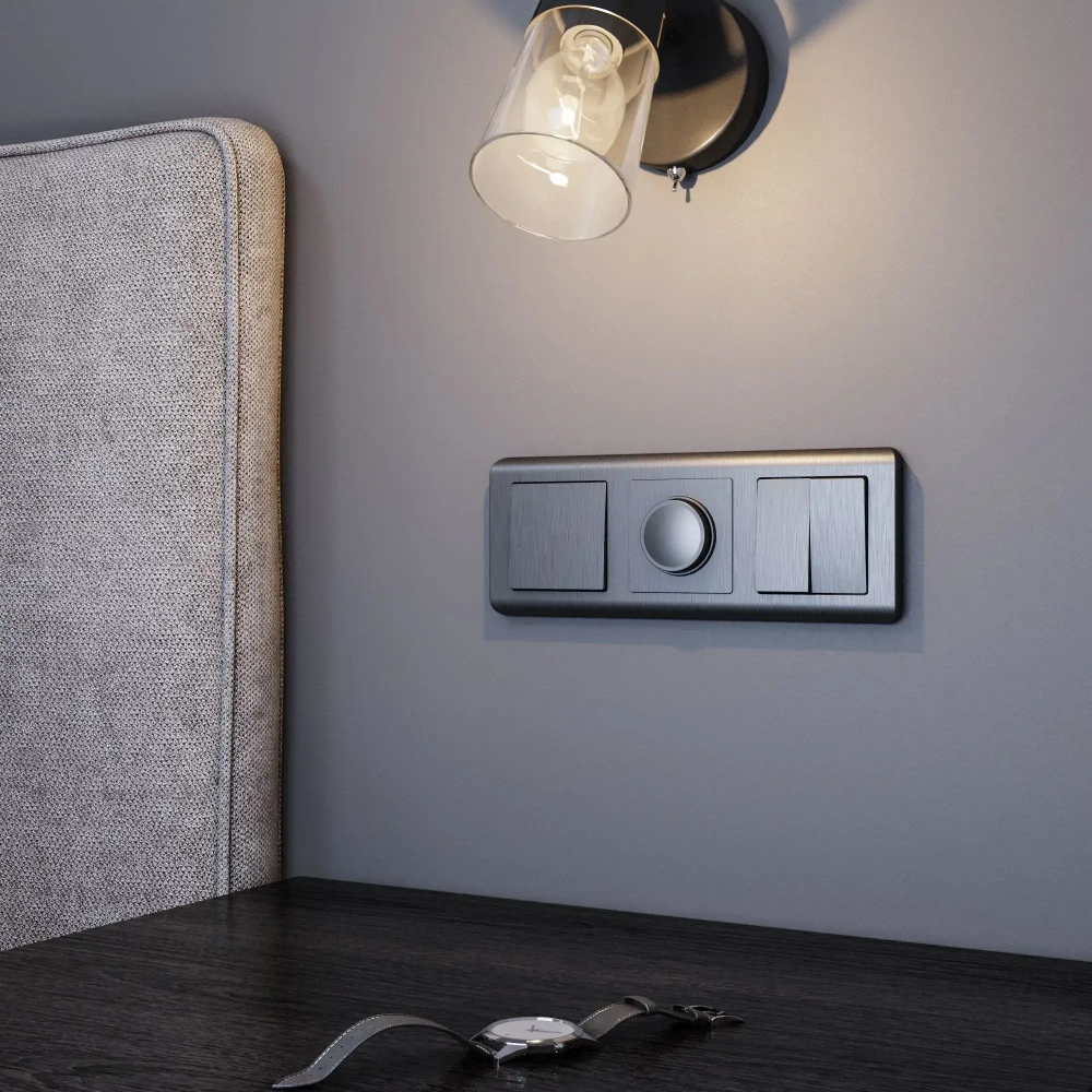 Выключатель одноклавишный (графит рифленый) W1110004