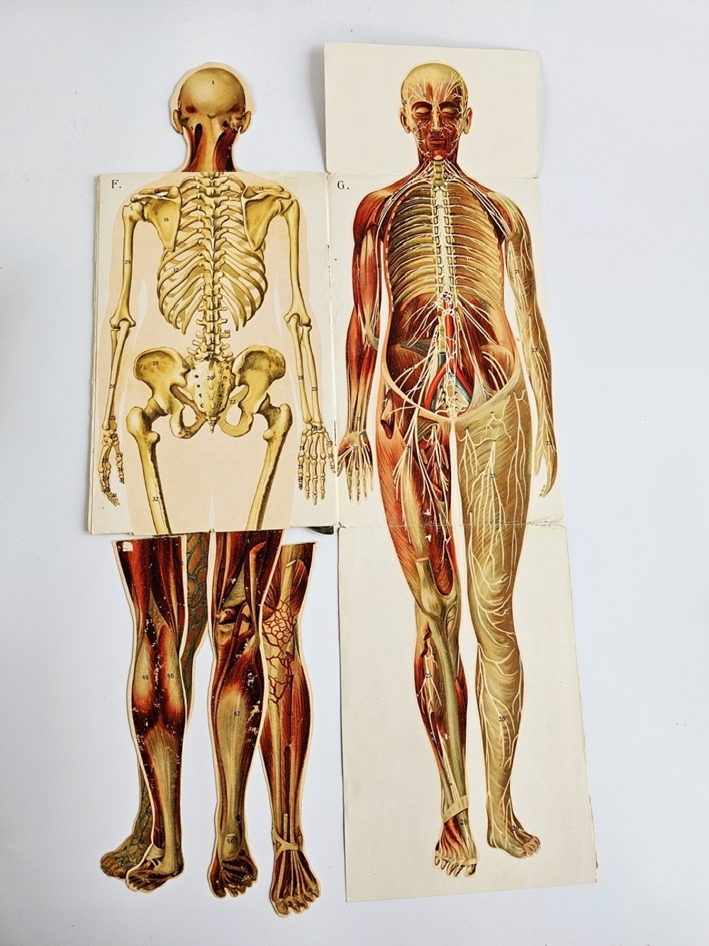 "Новый способ лечения. Лечение целебными силами природы."  М. Платен. 1906 г.