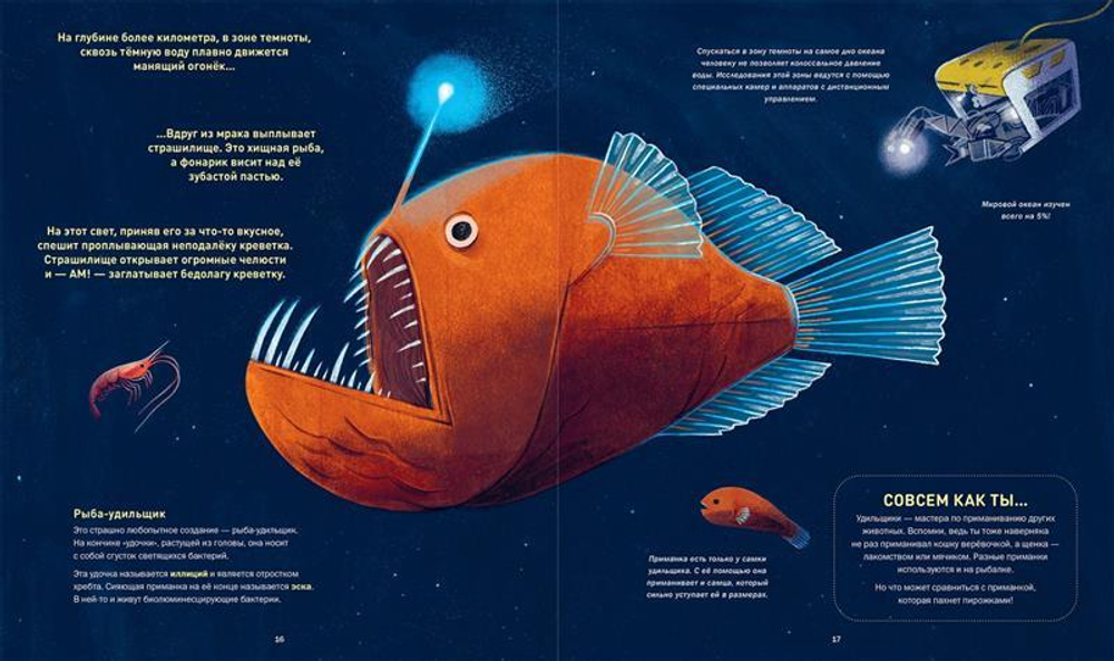 Кто светится в темноте? Невероятные факты о способностях животных