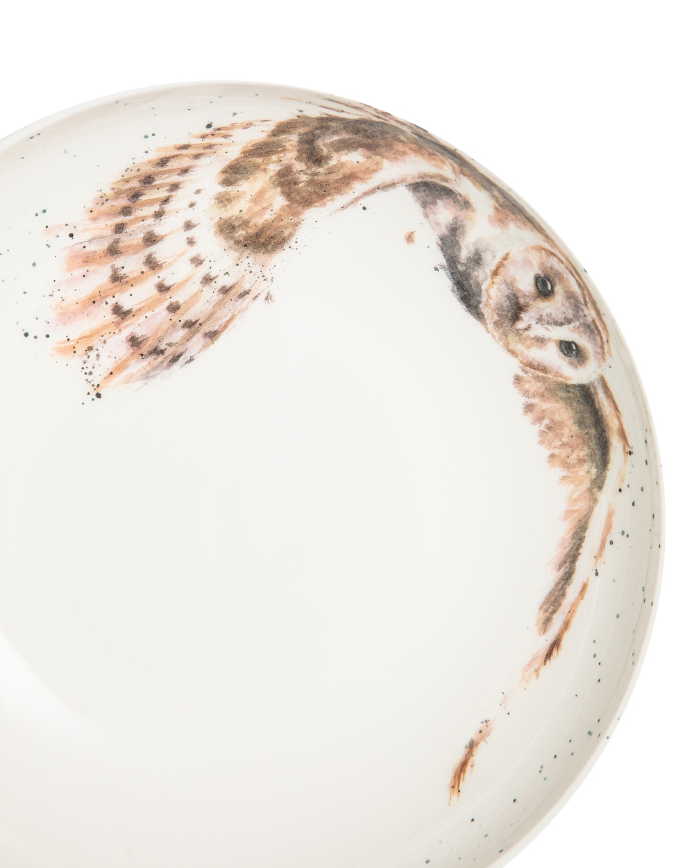 Тарелка для пасты 22см Royal Worcester Забавная фауна Сова