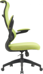 Кресло  Cactus CS-MC505-GN