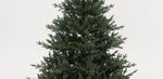 Ель искусственная «Царевна леса» (Литая хвоя) 240 см / 2,4 м