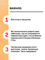 Овёс, 400гр ВАКА