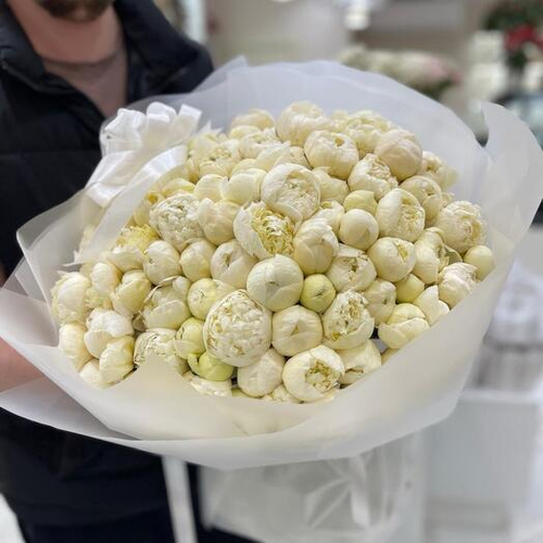 Монобукет из 101 белоснежного пиона. Монобукет 013 Chalet Green