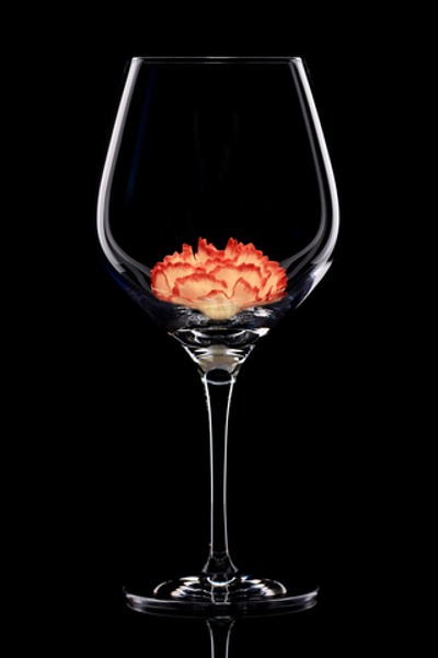 Бокал для красного вина. Гвоздика бело-розовая.