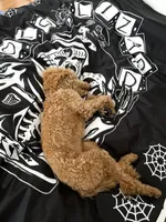 Шторка для ванной Old Lizard Bathroom Curtain Reaper