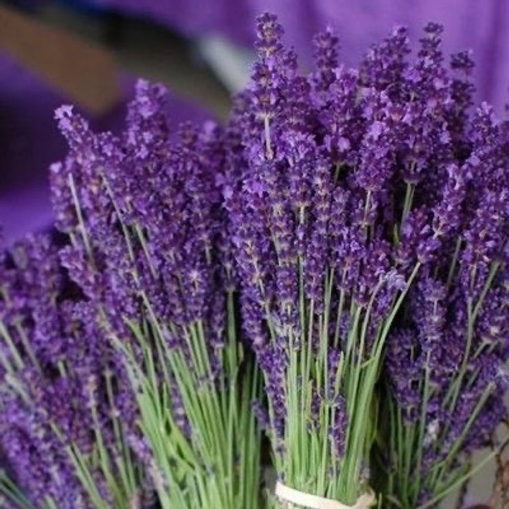 Ароматизатор Lavender (Лаванда)