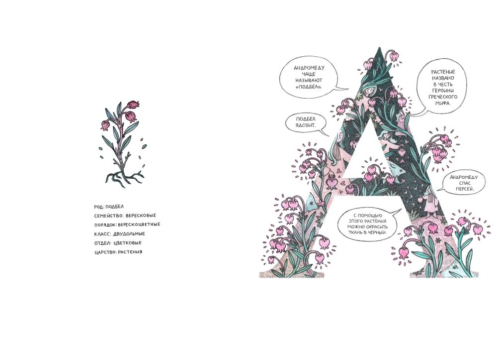 Азбука Северных растений