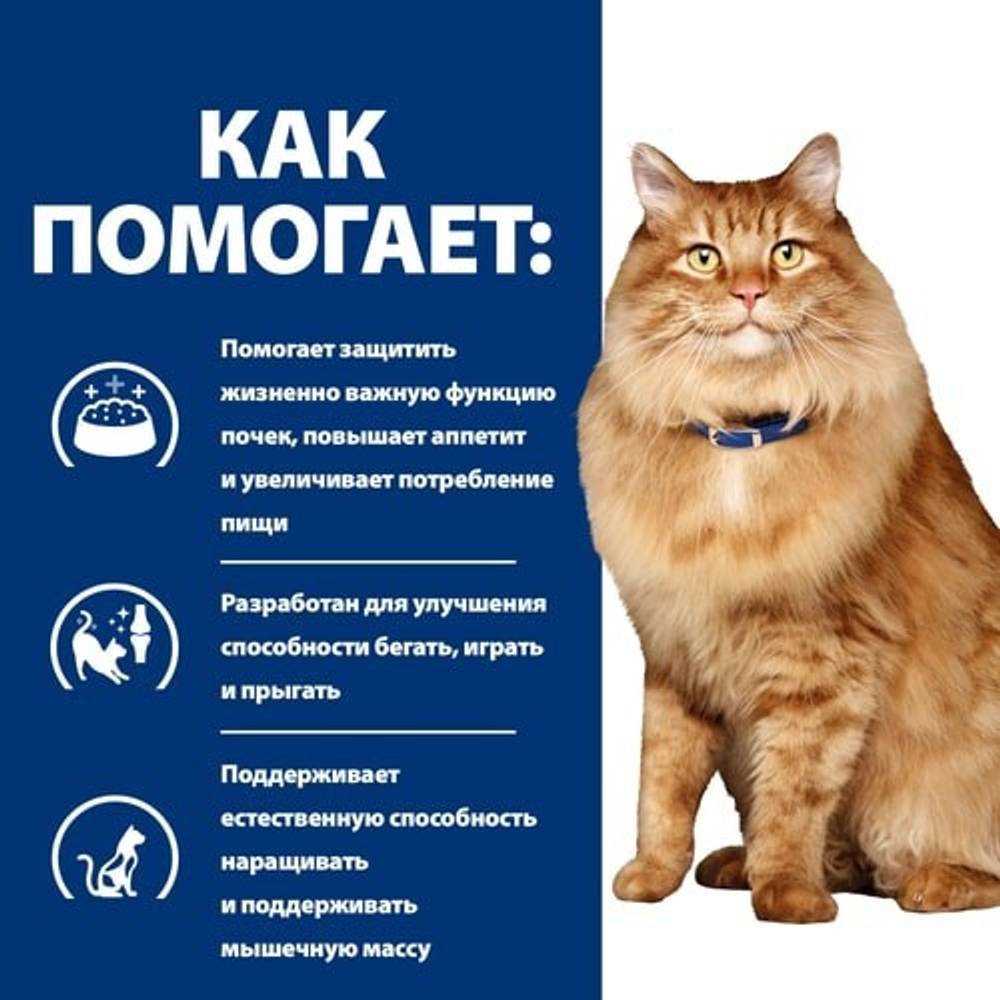 Hill's Feline k/d + Mobility 2 кг - диета для кошек с проблемами почек и заболеваниями суставов