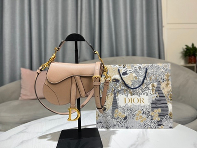 Christian Dior Saddle 21 cm