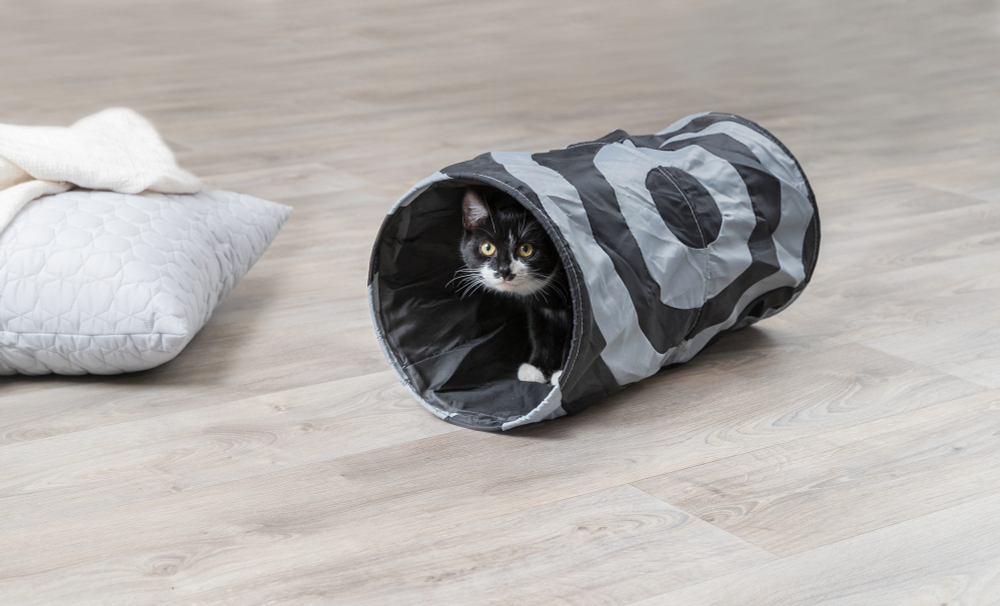Тоннель для кошки шуршащий, 50 см, ф 25 см, Trixie
