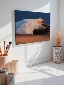 Картина на стену 40 X 50 Гусь