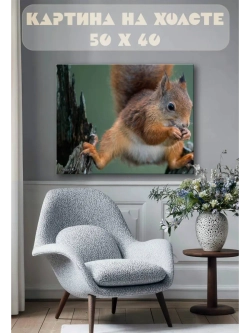 Картина на стену 40 X 50 Белка
