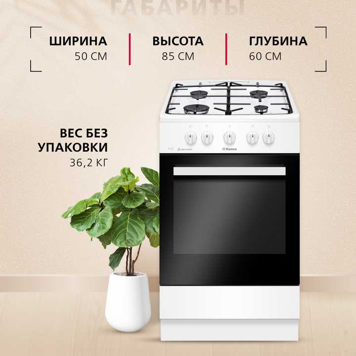 Газовая плита Hansa FCGW510009H