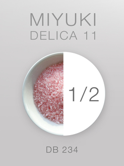 БИСЕР MIYUKI DELICA 11_DB_234