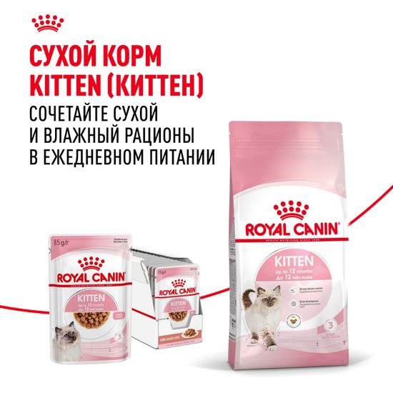 Royal Canin Kitten влажный корм в СОУСЕ для котят в возрасте до 12 месяцев Royal Canin Kitten влажный корм в СОУСЕ для котят в возрасте до 12 месяцев