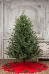 Искусственная елка Имперская 210 см., литая хвоя+ПВХ, ЕлкиТорг (144210)