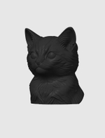 Котенок