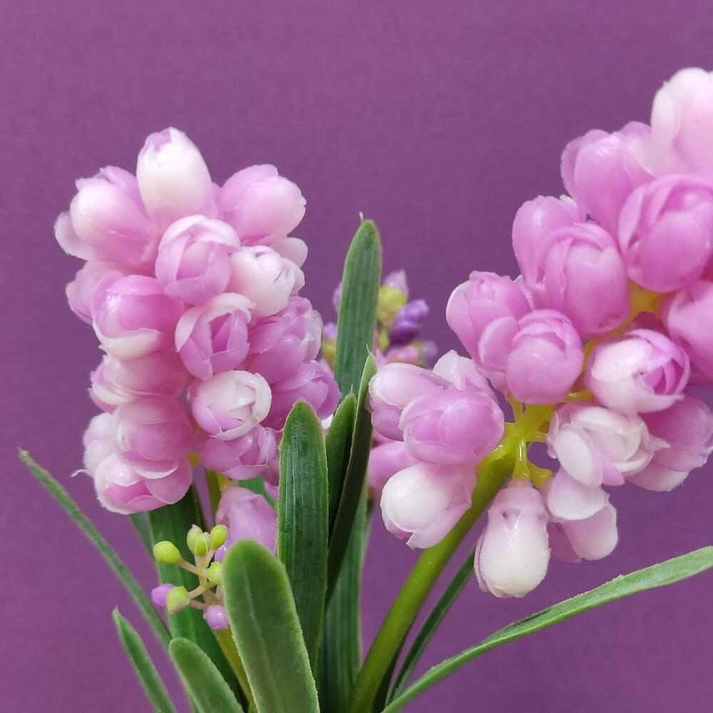 Мускари розовые. Латекс. Букет